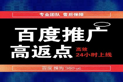百度SEO推广案例：实战解析与效果展示